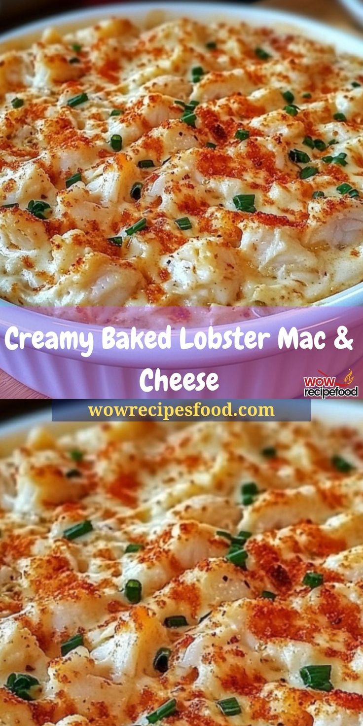 Elevate Your Comfort Food: Why This Extra Creamy Lobster Mac Wows